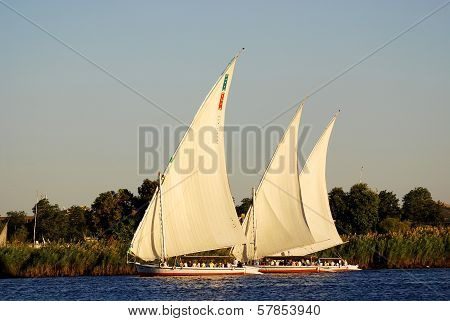 Felucca sails on the Nile river