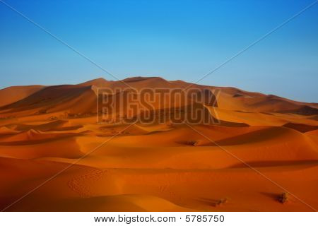 Tramonto sulle dune di sabbia