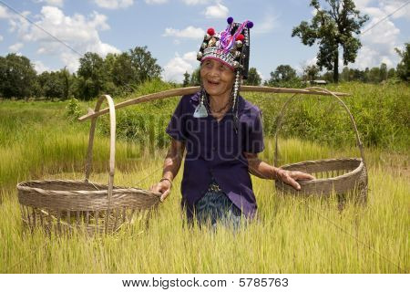 alte asiatische Frau, akha