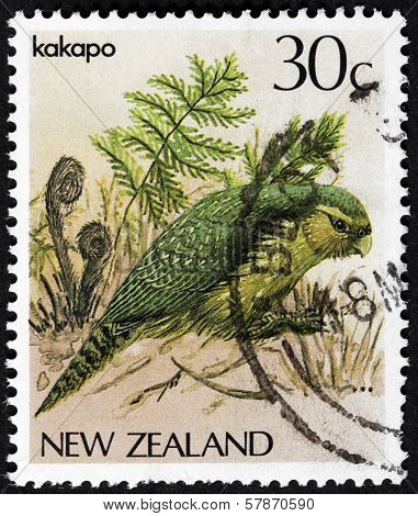Kakapo Stamp