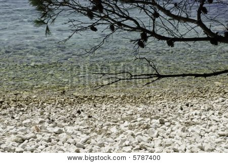 Meer