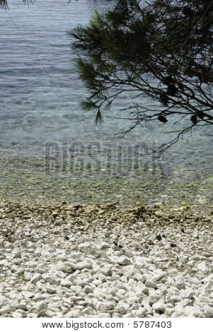 Meer