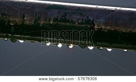 Water droplets