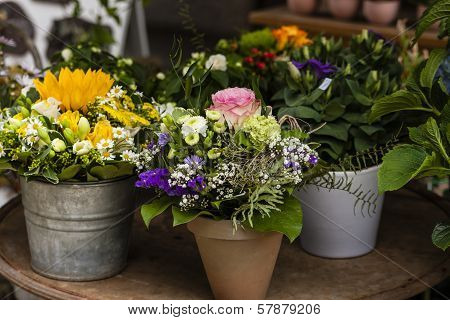 Flower-shop