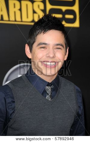 David Archuleta  at the 2008 American Musica Awards. Nokia Theatre, Los Angeles, CA. 11-23-08