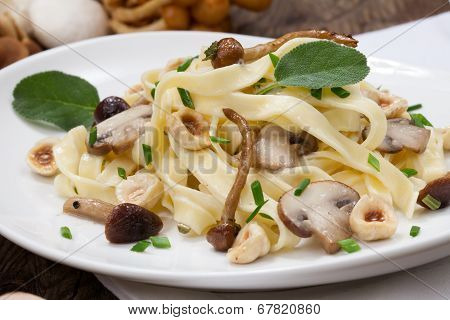 Wild Mushrooms Pasta
