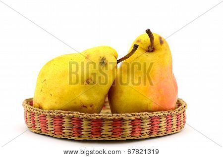 Pear Chicks