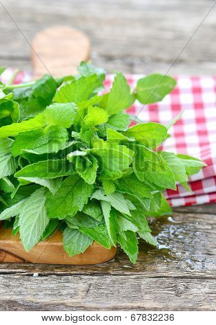 Green Mint