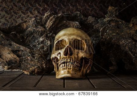 Still Life With A Skull.