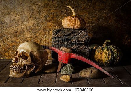 Still Life Skull And Pumpkin On The Timber.