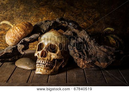 Still Life Skull And Pumpkin On The Timber.