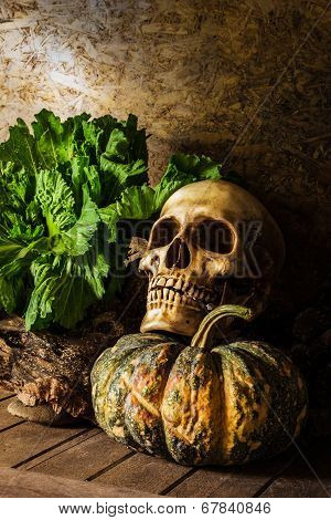 Still Life Skull And Pumpkin On The Timber.