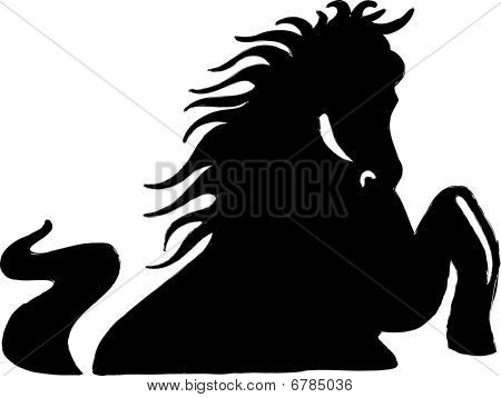 Paard