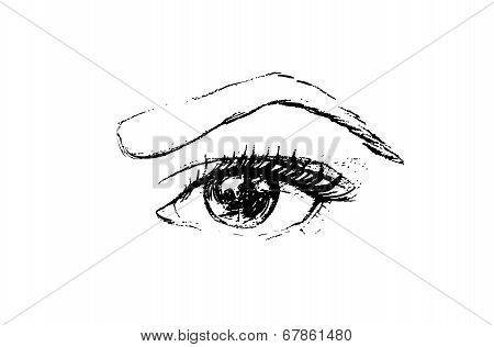 Hand Drawn Vector Illustration - Eye. Make Up