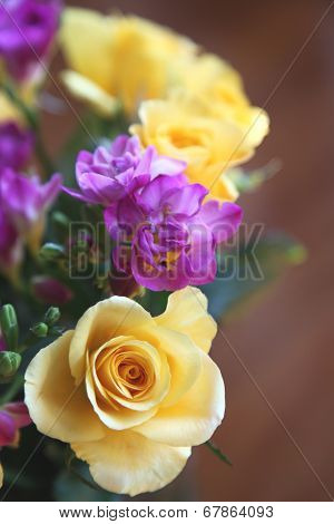 rose and fressia