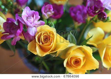 rose and fressia