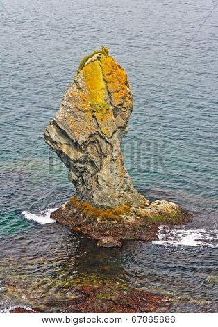 Unique Sea Stack On The Ocean Coast