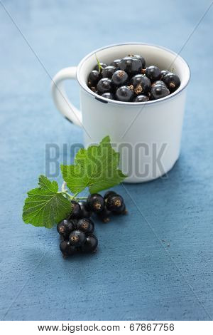 Ribes nigrum (Blackcurrant) fruit and leaves
