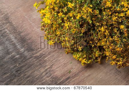 Hypericum Perforatum