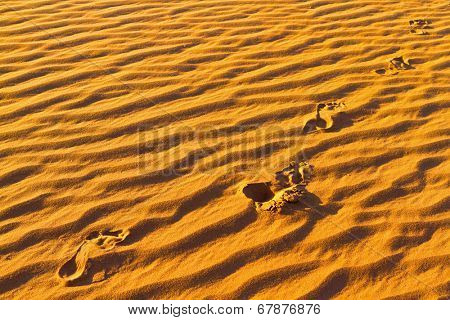 Human footprints on Sahara sand dunes.