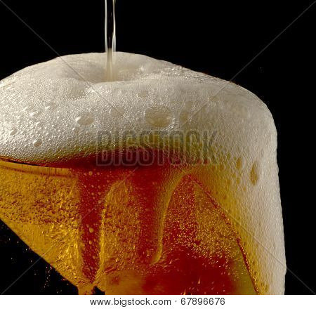 beer