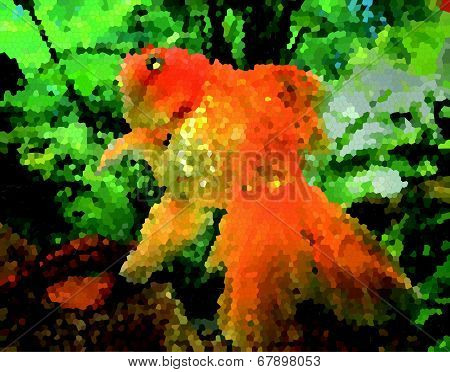 goldfish carp vector