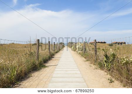 Path To The Beach