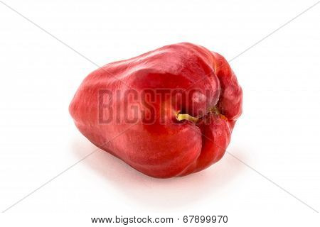 Rose Apple
