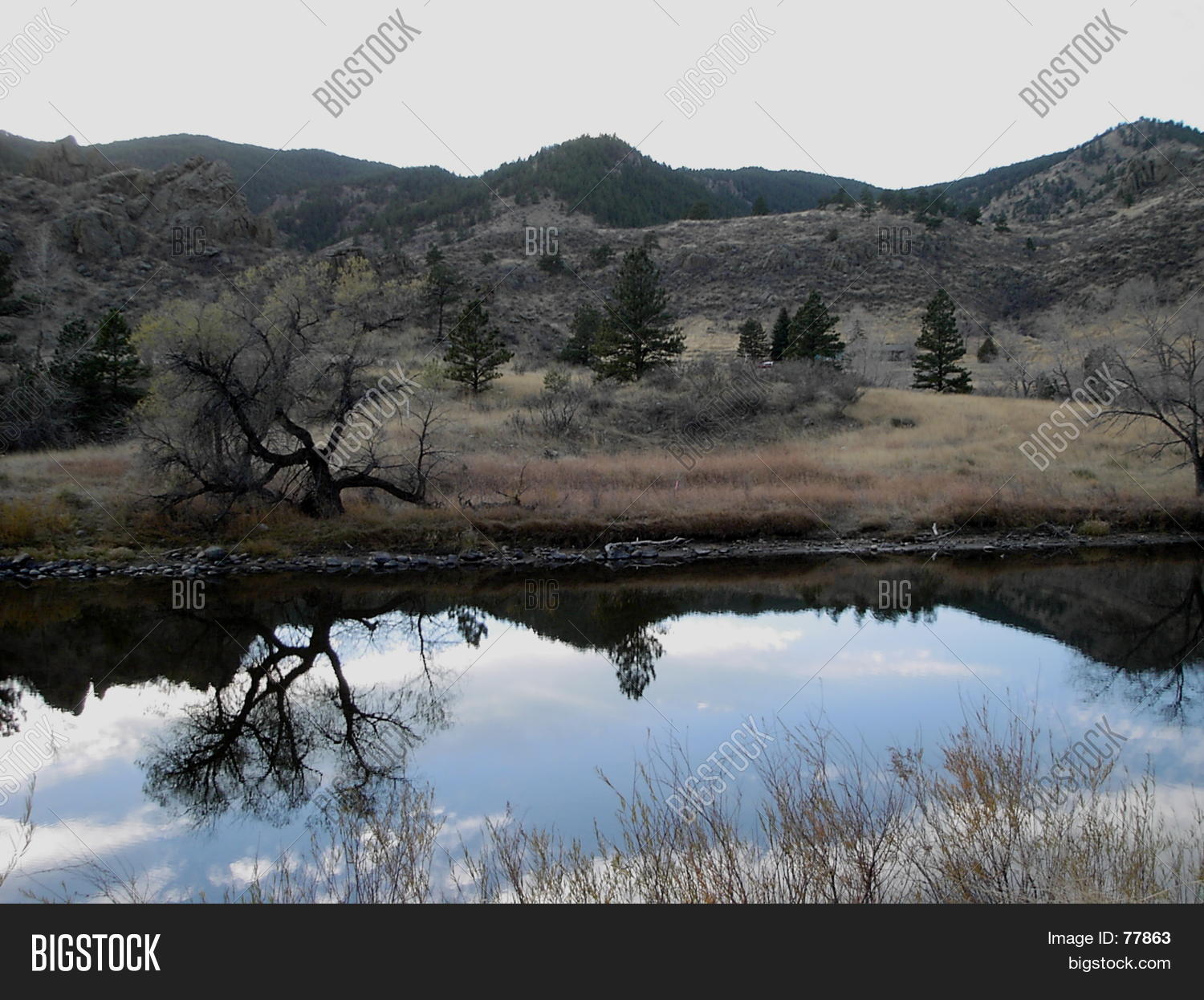 Image Preview
