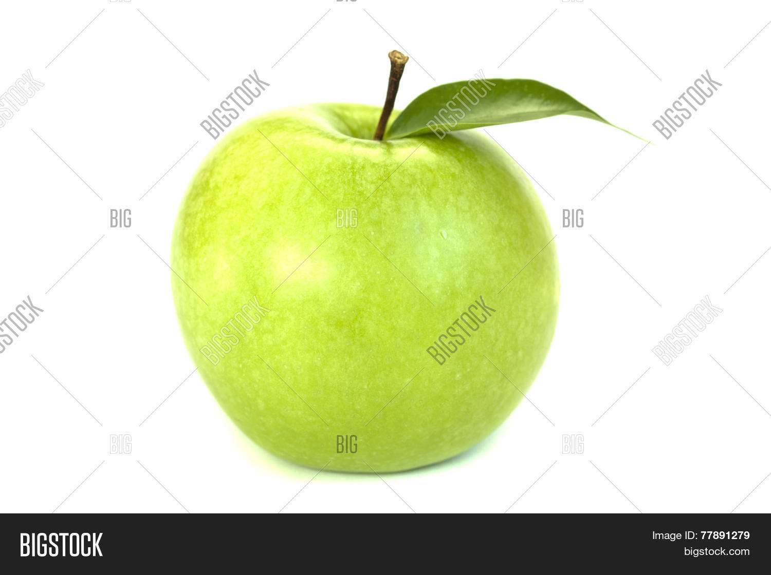 Image Preview
