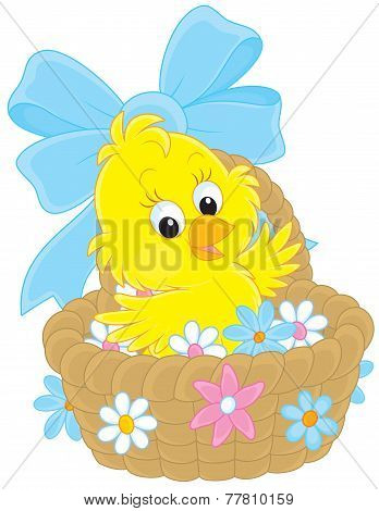 Easter Chick