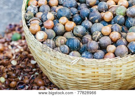 Macadamia Nuts