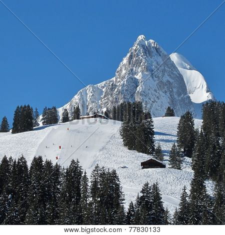 View From The Eggli Ski Area