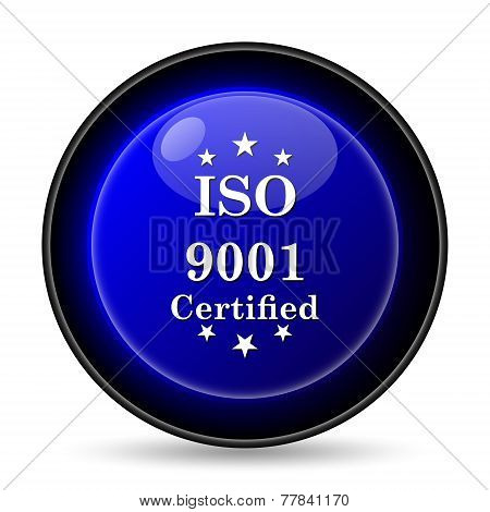 Iso9001 Icon