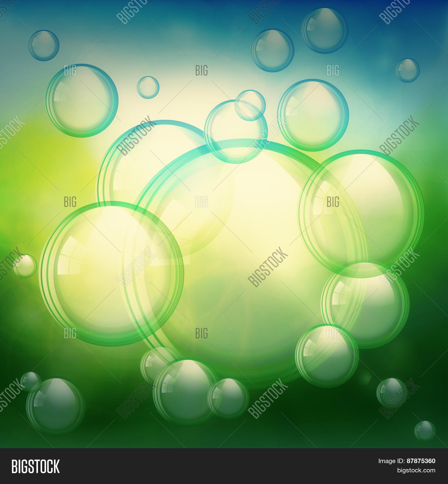 Image Preview