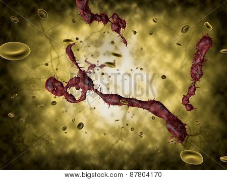Medical illustration of the Ebola virus