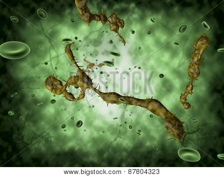 Medical illustration of the Ebola virus