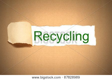 Brown Paper Torn To Reveal Recycling