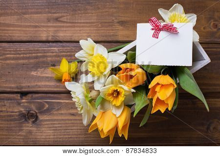 Background With Fresh Daffodils And Tulips