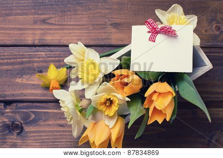Background With Fresh Daffodils And Tulips