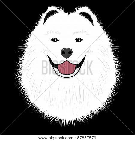 Dog Samoyed, Buddy Puppy Vector