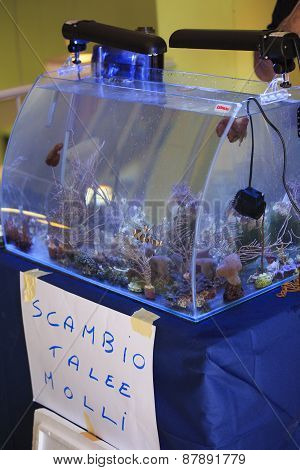Marine Aquarium Meeting
