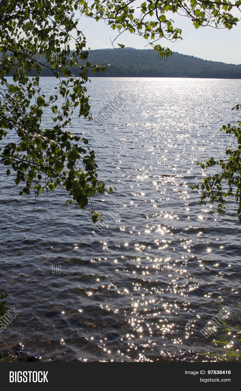 Lake Eaton Trees Image & Photo (Free Trial) Bigstock