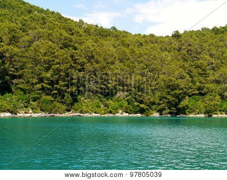 The green blue of the Croatian Polace bay