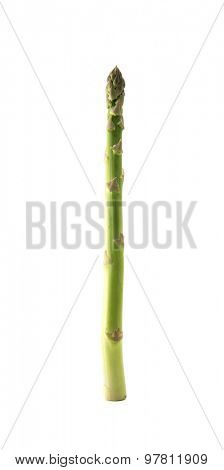 Standing asparagus isolated on white.