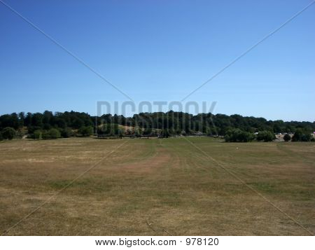 Hainault Waldlandschaft 