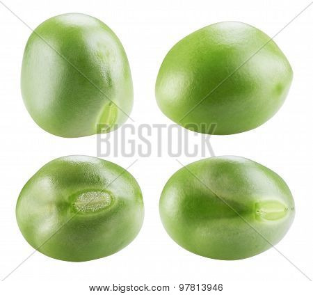 Green Peas