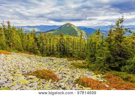 Mountain Autumn Landscape