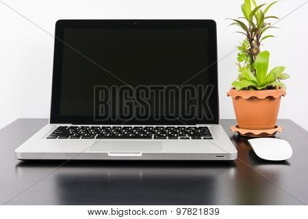Laptop And Flower Pot On Black Wooden Table