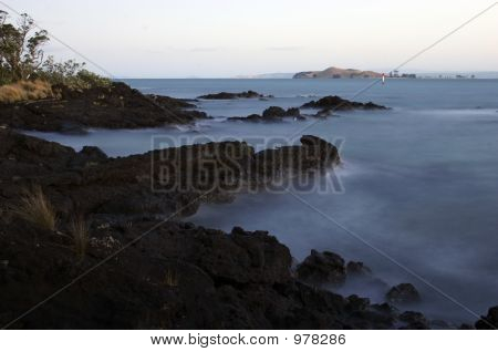 Rangitoto Rocks!